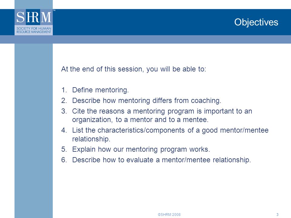 The Mentoring Program Of Company Name Training For Employees