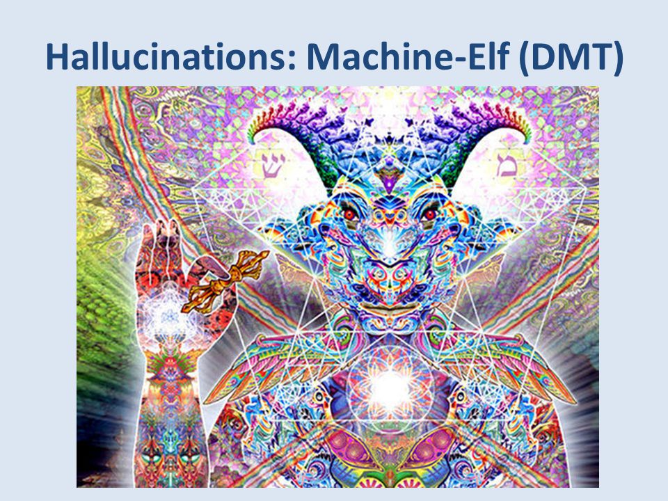 Hallucinations: Machine-Elf (DMT) .