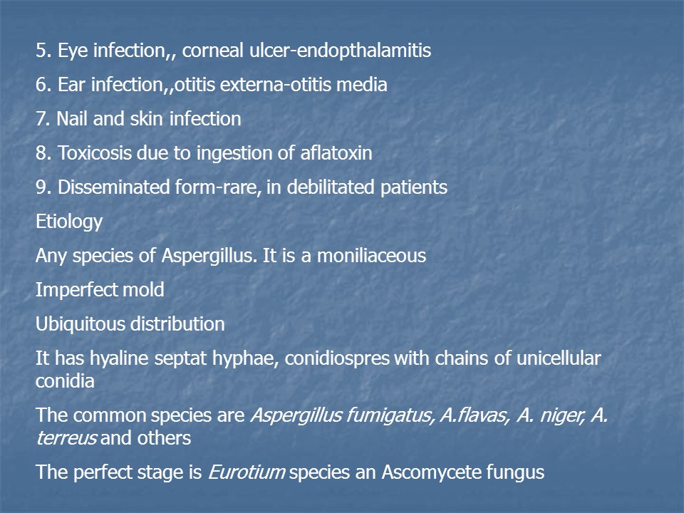 Pathogens | Free Full-Text | Aspergillus Genus and Its Various Human  Superficial and Cutaneous Features