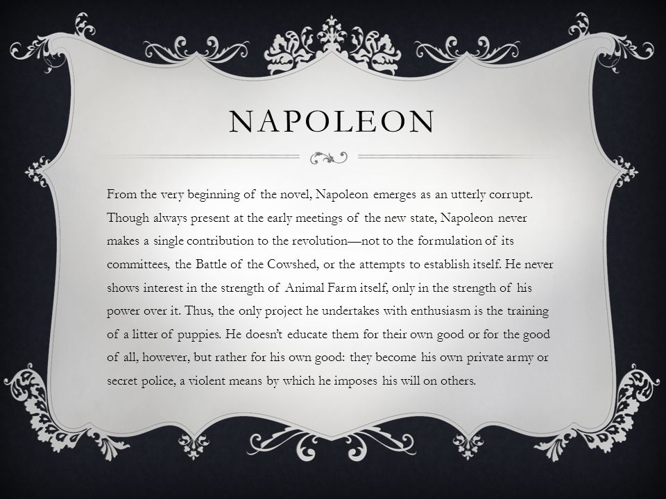 napoleon animal farm essay