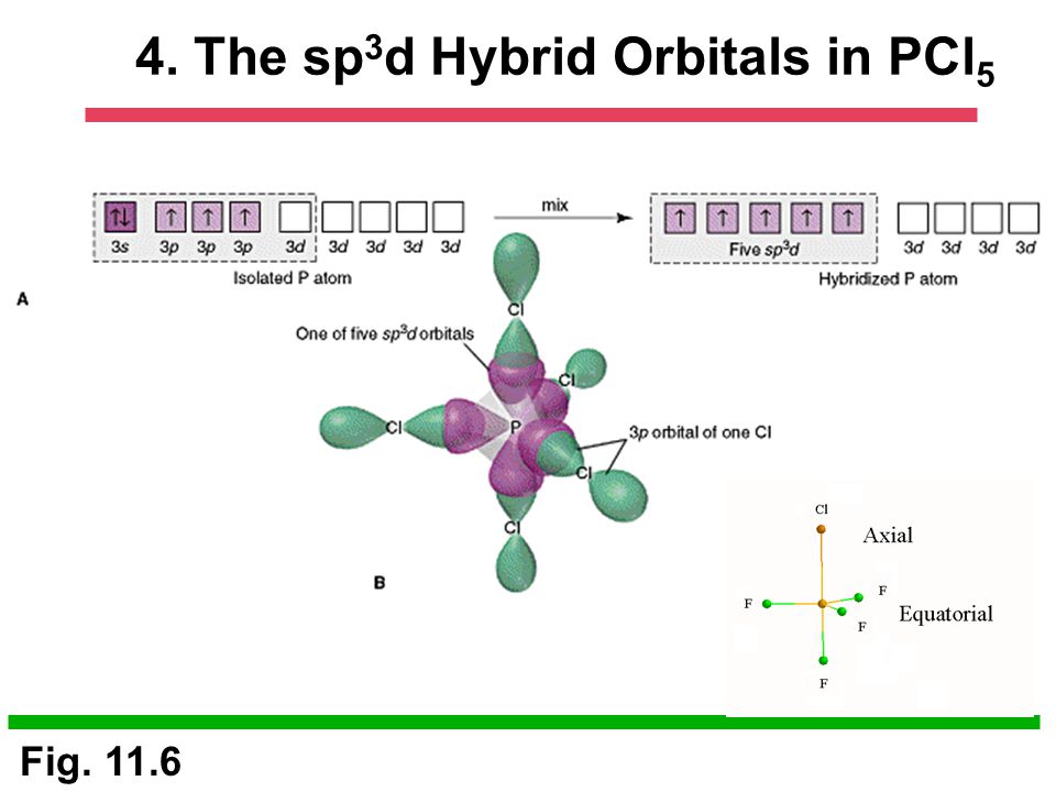 4. The sp3d Hybrid Orbitals in PCl5 