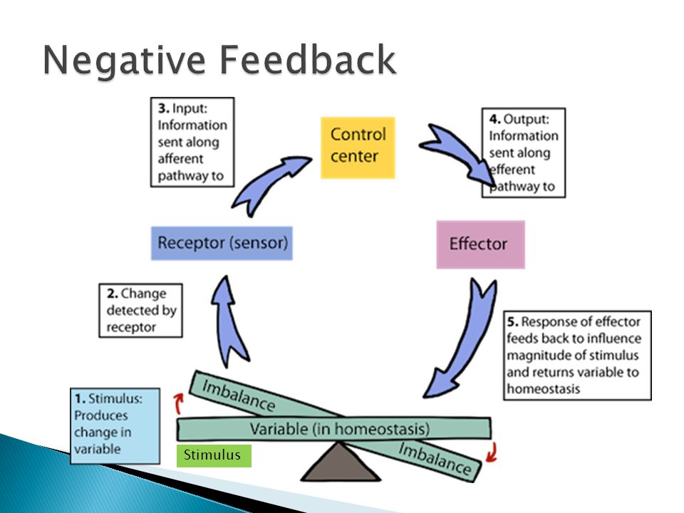 Variable returns. Negative feedback. Negative feedback System diagram. Negative negative. Майка negative feedback.