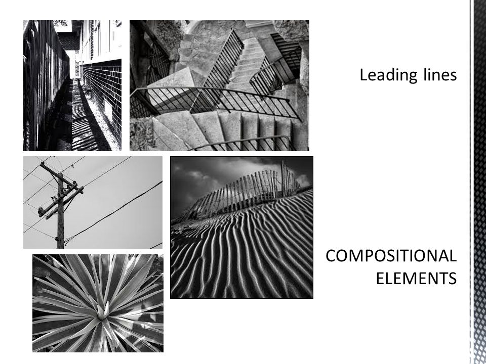 Leading lines COMPOSITIONAL ELEMENTS