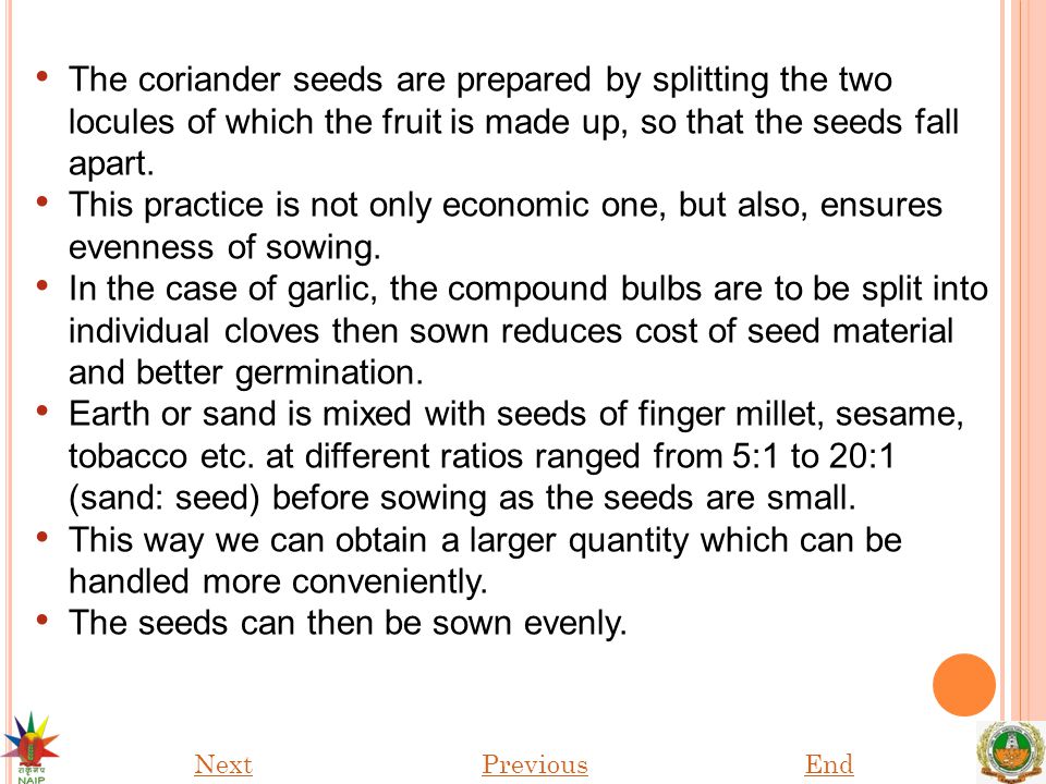 The seeds can then be sown evenly.
