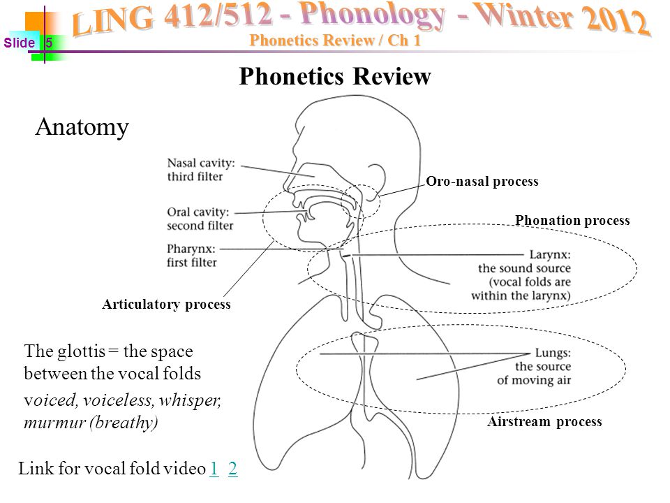 5 phonetics today quiz IPA Step practice Memorize on real quiz 1: 5 phonetics today quiz IPA Step practice Memorize on real quiz 1: