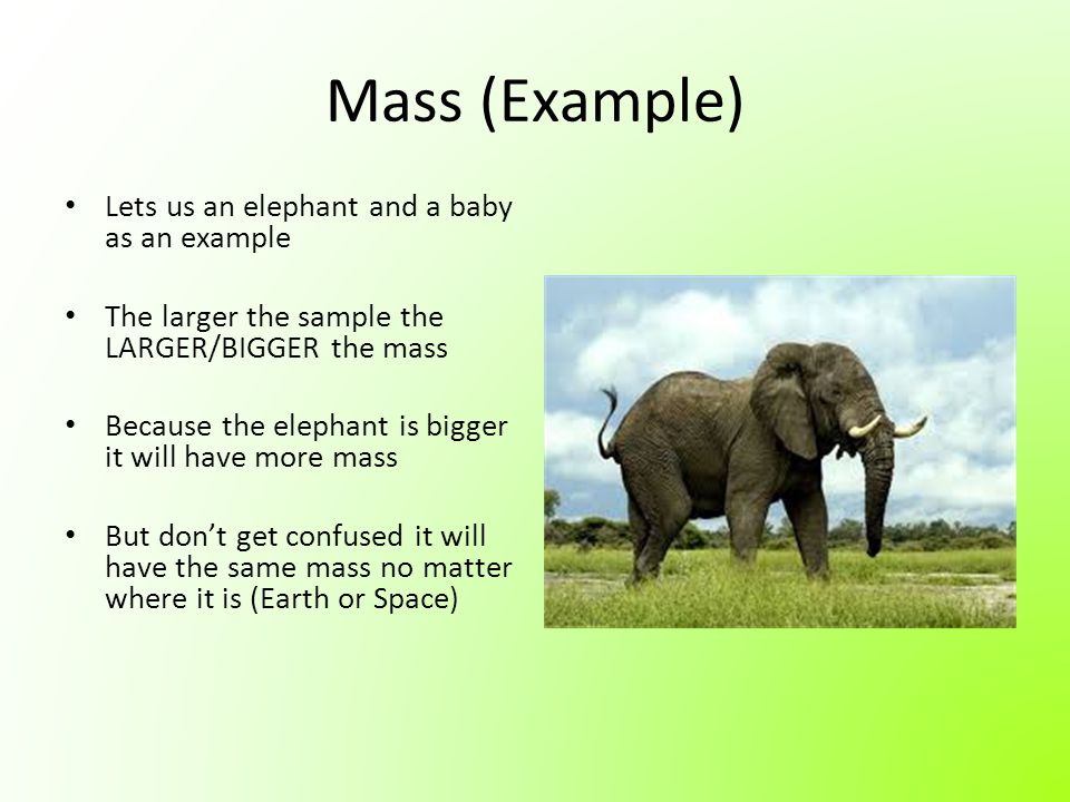 Mass (Example) Lets us an elephant and a baby as an example