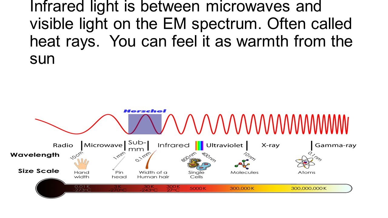 Infrared light is between microwaves and visible light on the EM spectrum.