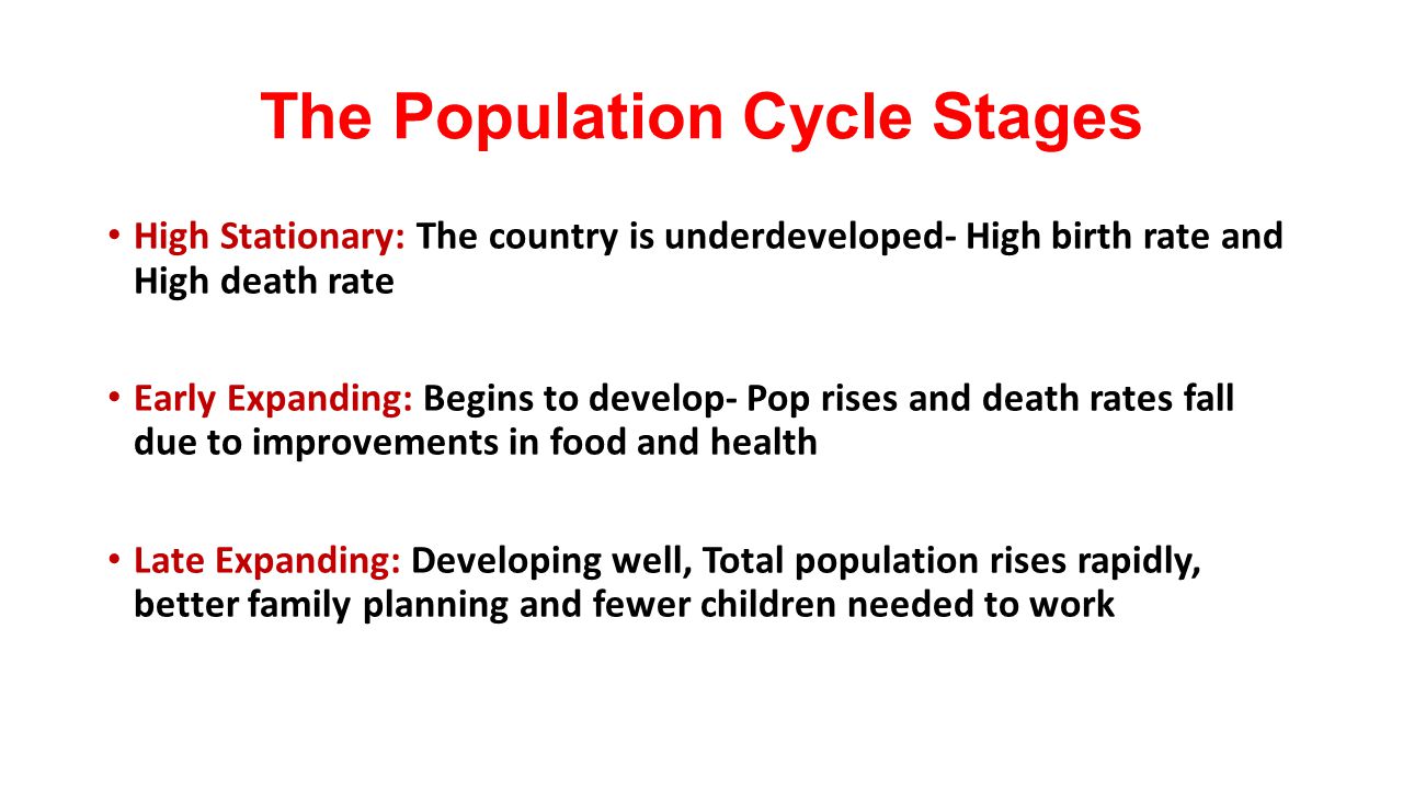 The Population Cycle Stages