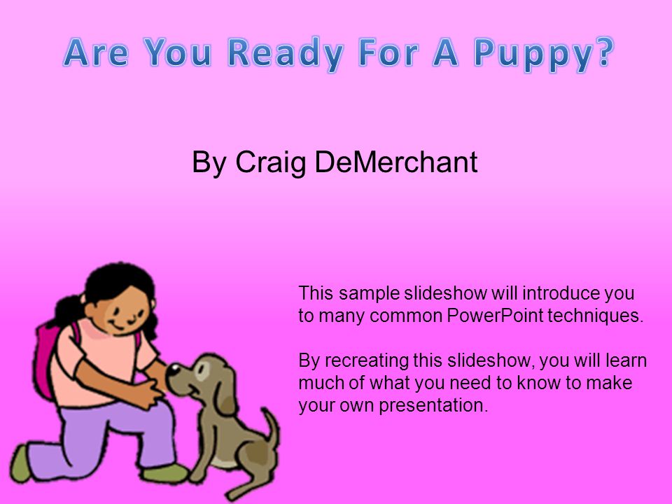 Are You Ready For A Puppy