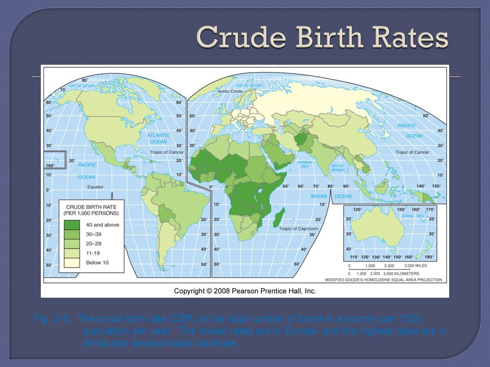 Crude Birth Rates Highest crude birth rates are in subsaharan africa lowest in europe.