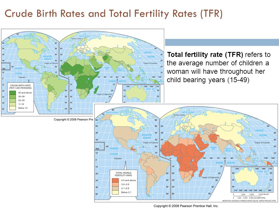 Crude Birth Rates and Total Fertility Rates (TFR)
