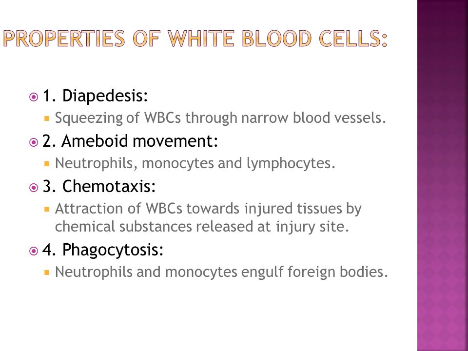 of properties enzymes 2 download video White blood  online  cells. ppt