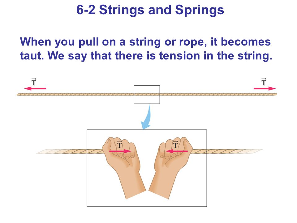 6-2 Strings and Springs When you pull on a string or rope, it becomes taut.