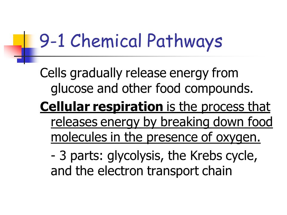 Chapter 9 Notes Cellular Respiration. - ppt video online download