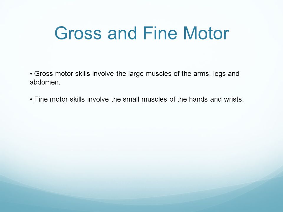 Gross and Fine Motor • Gross motor skills involve the large muscles of the arms, legs and abdomen.