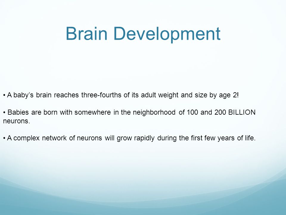 Brain Development • A baby’s brain reaches three-fourths of its adult weight and size by age 2!