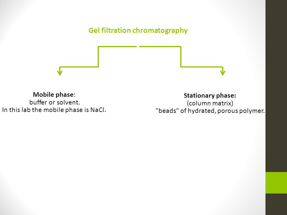 Gel Filtration Chromatography. - ppt video online download