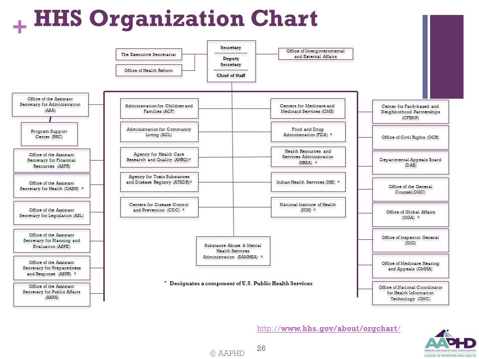 Dhhs Org Chart 2017
