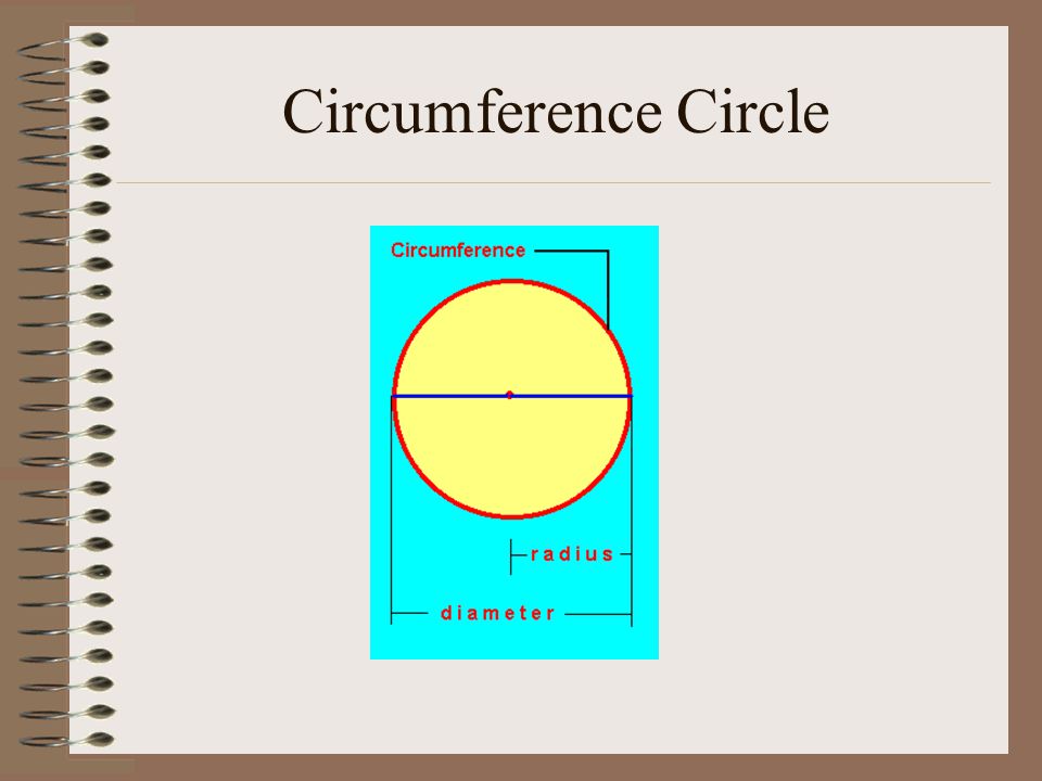 Circumference Circle