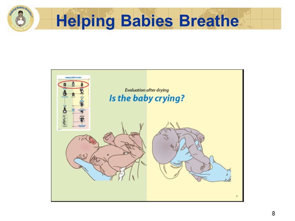 Helping Babies Breathe Facilitator Flip Chart