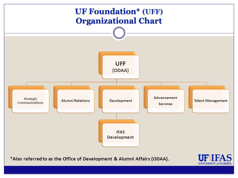 Uf Organizational Chart