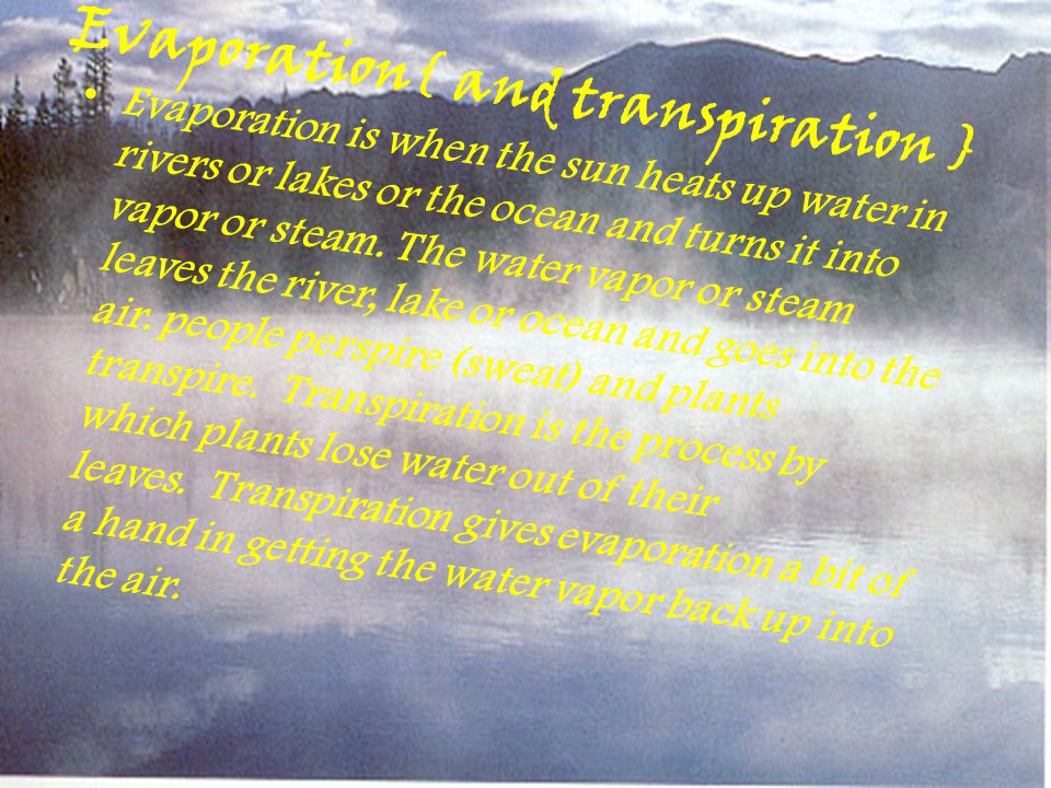 Evaporation{ and transpiration }