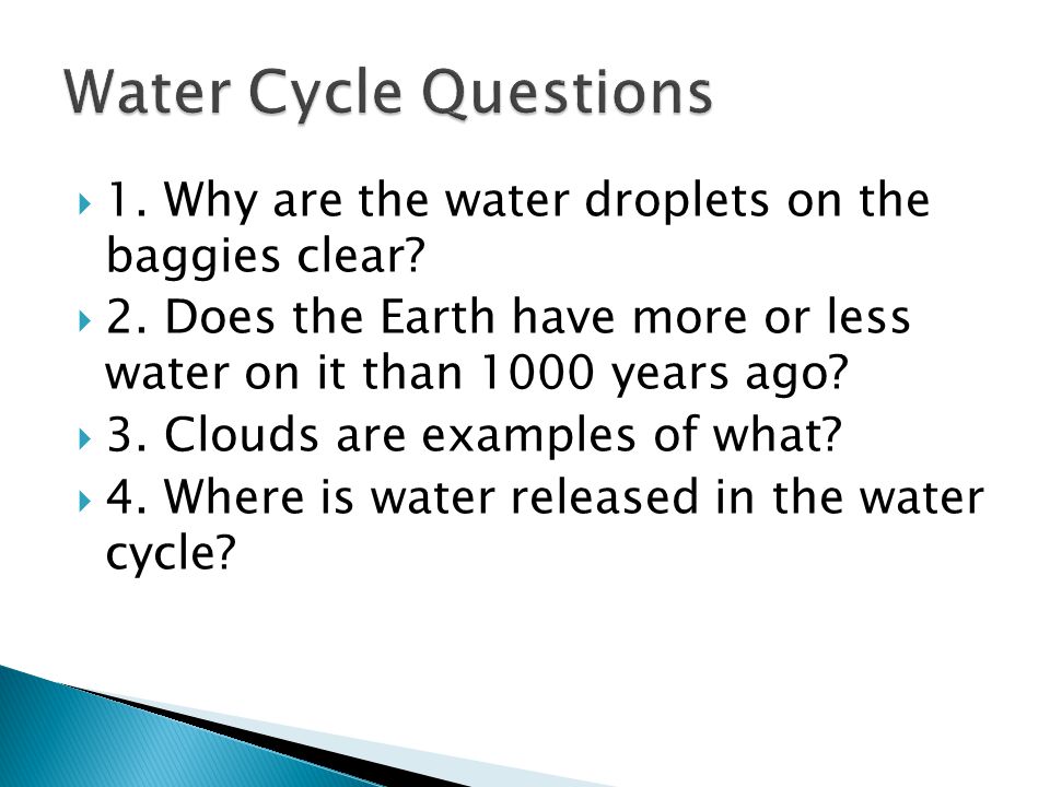 Water Cycle Questions 1. Why are the water droplets on the baggies clear 2. Does the Earth have more or less water on it than 1000 years ago