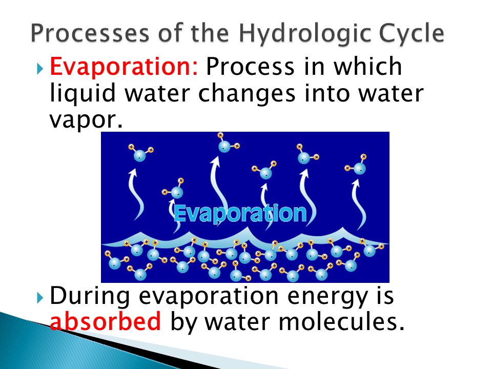 Processes of the Hydrologic Cycle