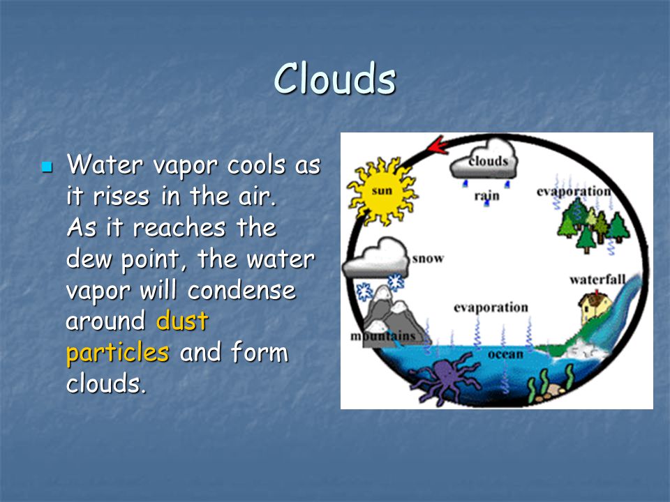 Clouds Water vapor cools as it rises in the air.