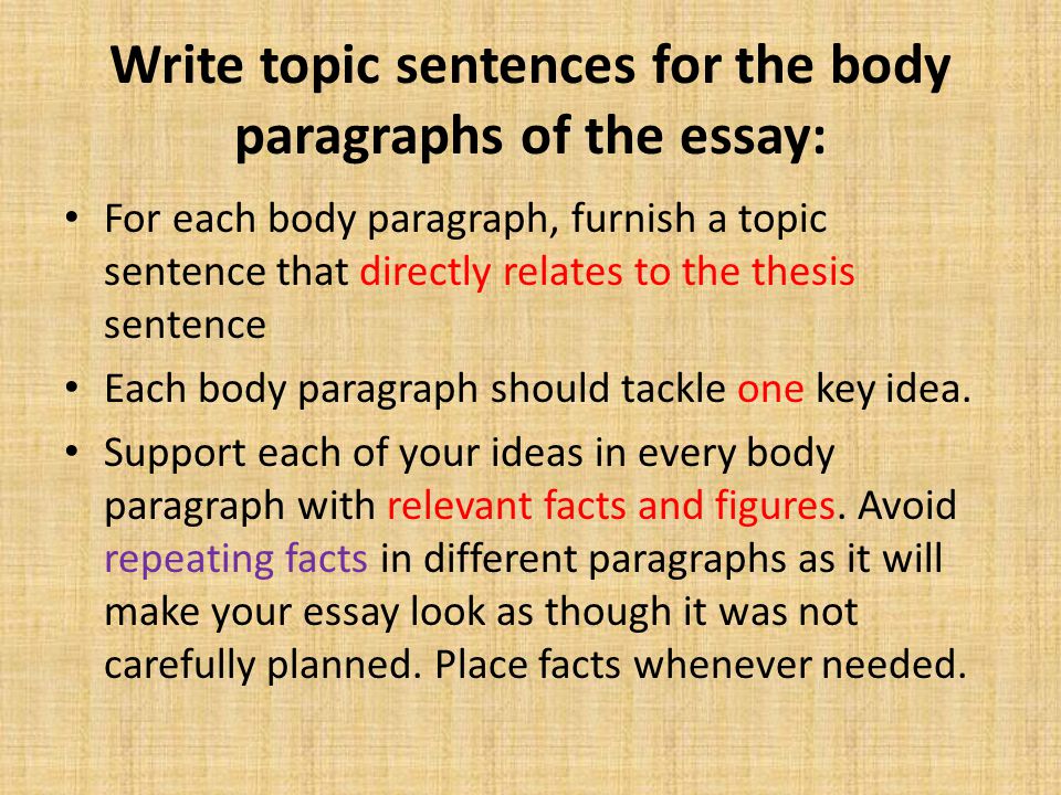 Write topic sentences for the body paragraphs of the essay: