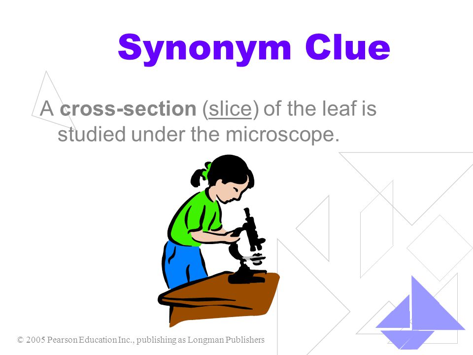 The Importance Of Words Ppt Video Online Download