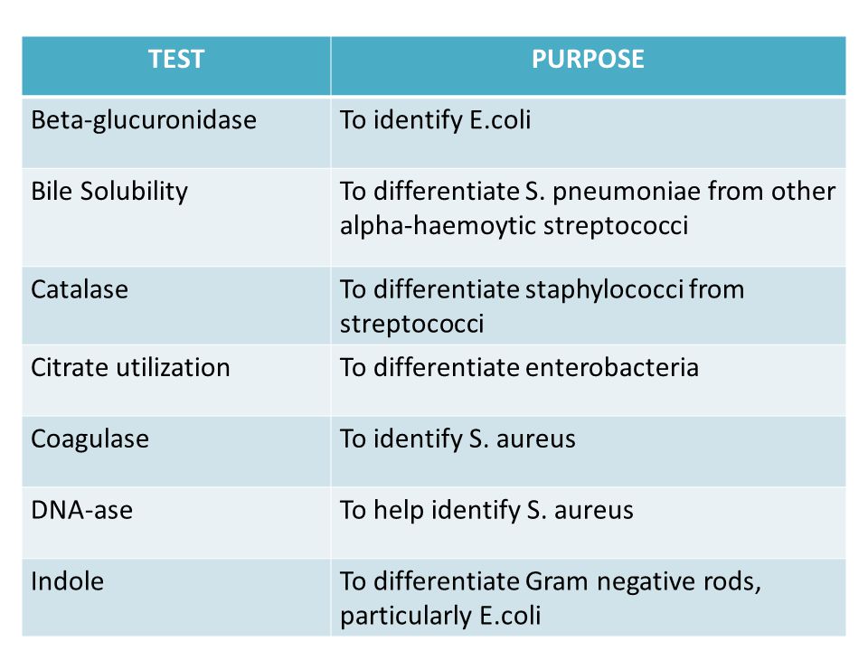 Biochemical Test Chart For Identification Of Bacteria