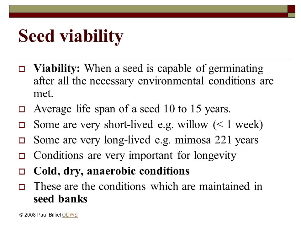 III. Significance of Seed Longevity in Agriculture