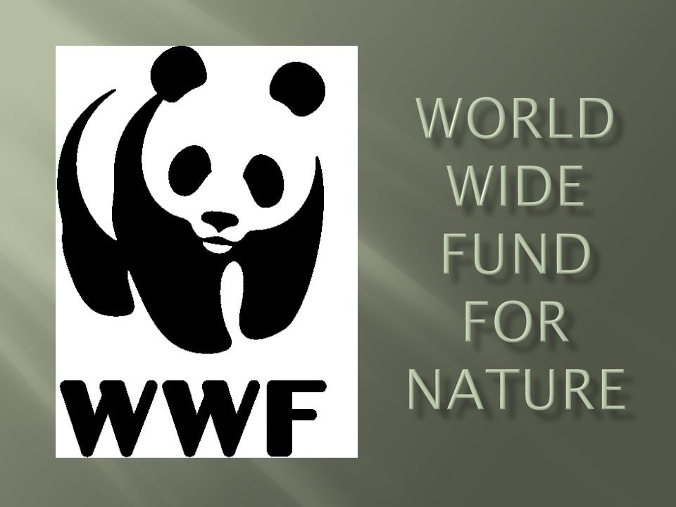 World Wide Fund for Nature - ppt download