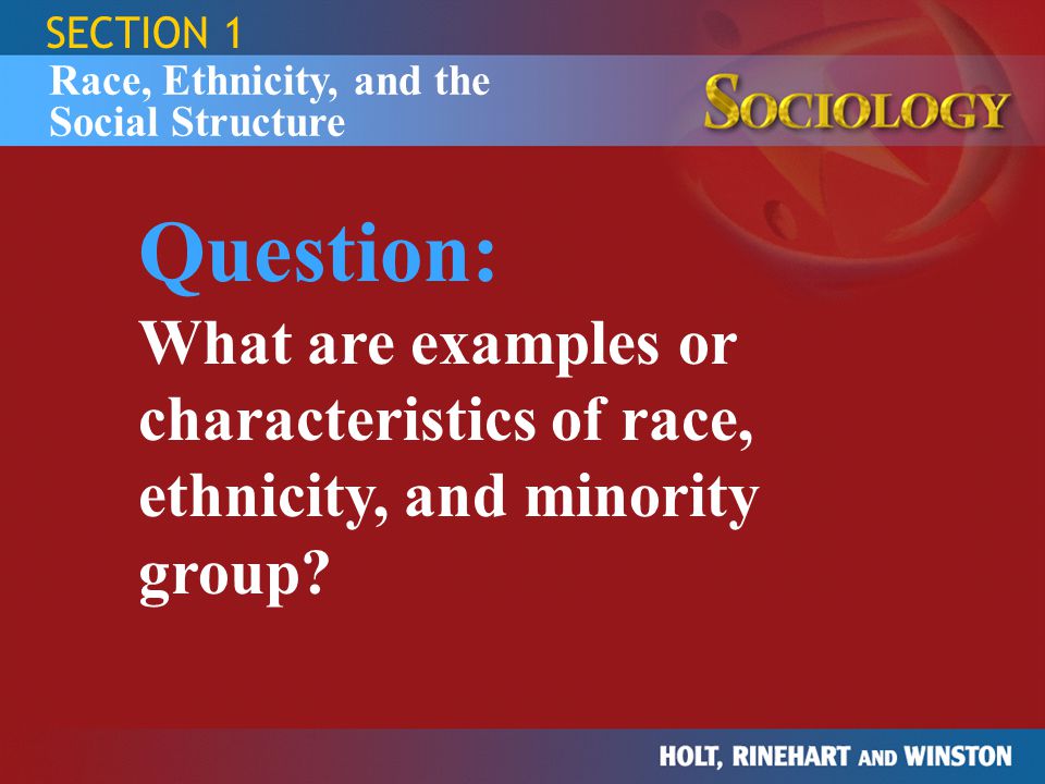 SECTION 1 Race, Ethnicity, and the Social Structure.