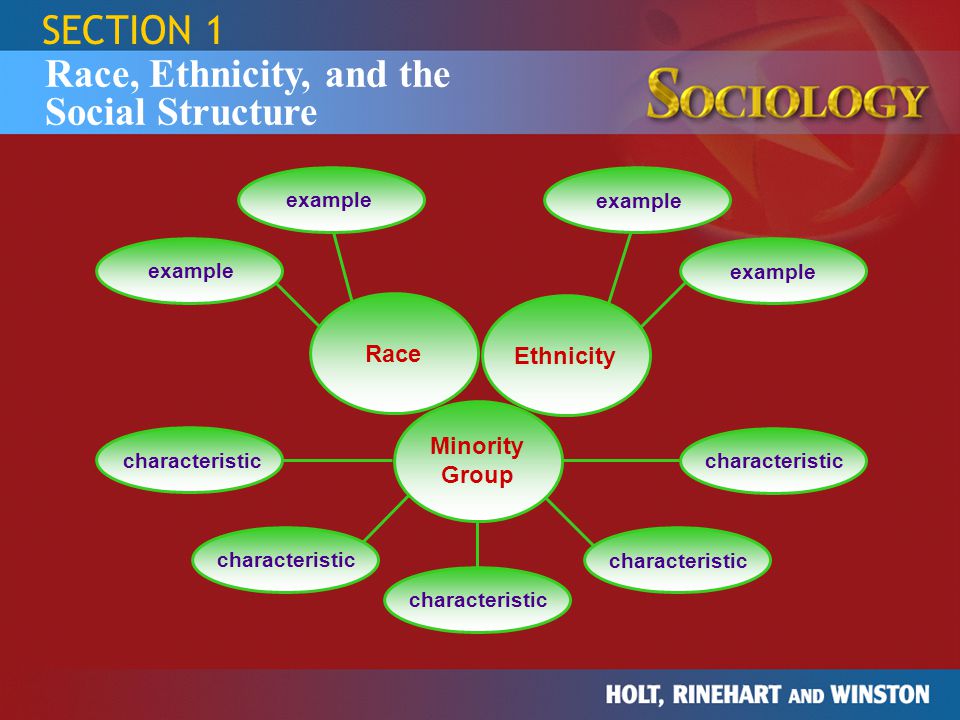 Race, Ethnicity, and the Social Structure