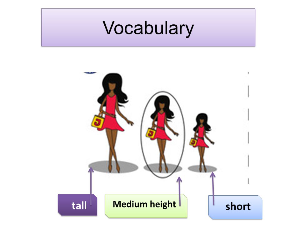 https://slideplayer.com/slide/5854064/19/images/2/Vocabulary+tall+short+Medium+height.jpg