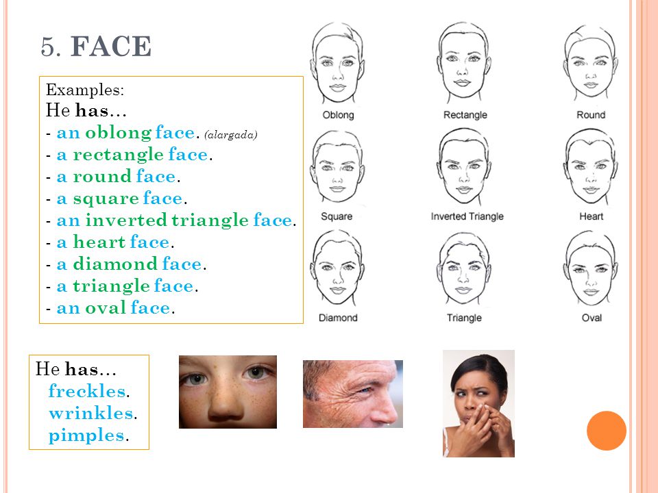 5. FACE He has… - an oblong face. (alargada) - a rectangle face.