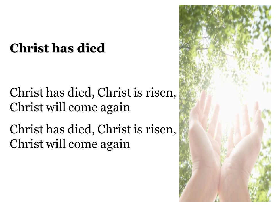 images Christ Has Died Christ Has Risen Christ Will Come Again Lyrics till the end of my days oh lord