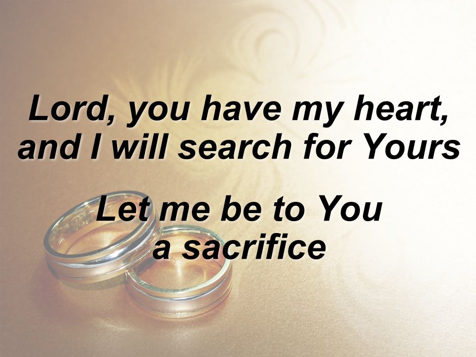 Lord, you have my heart, and I will search for Yours
