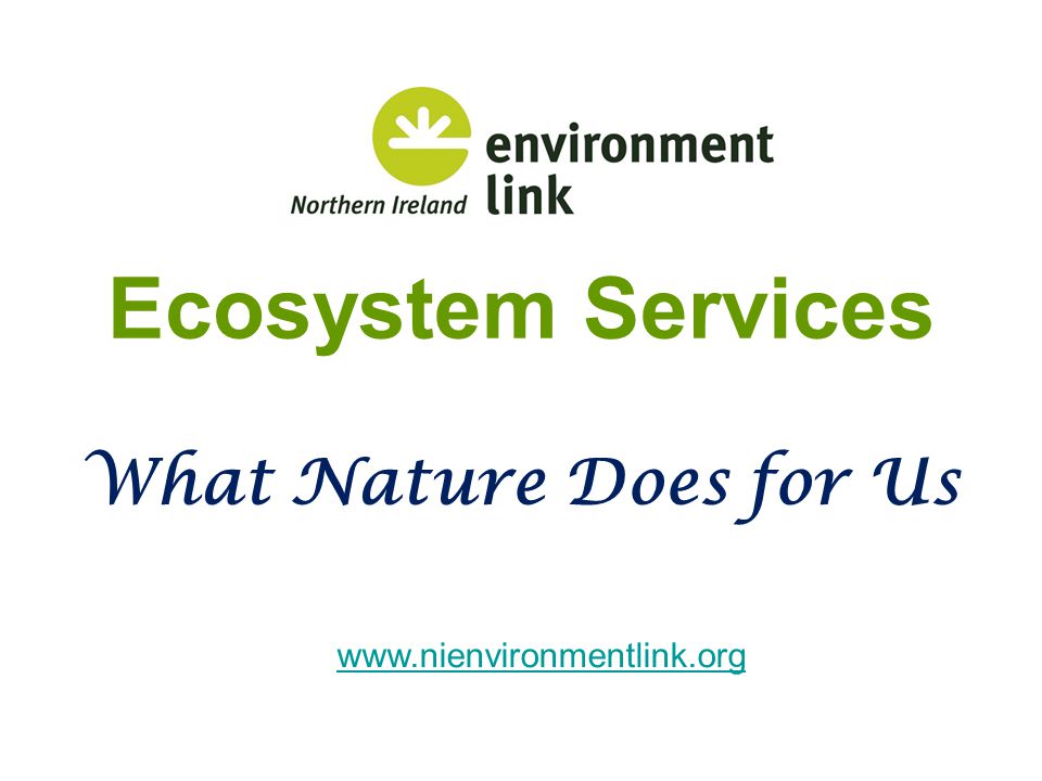Ecosystem Services What Nature Does for Us