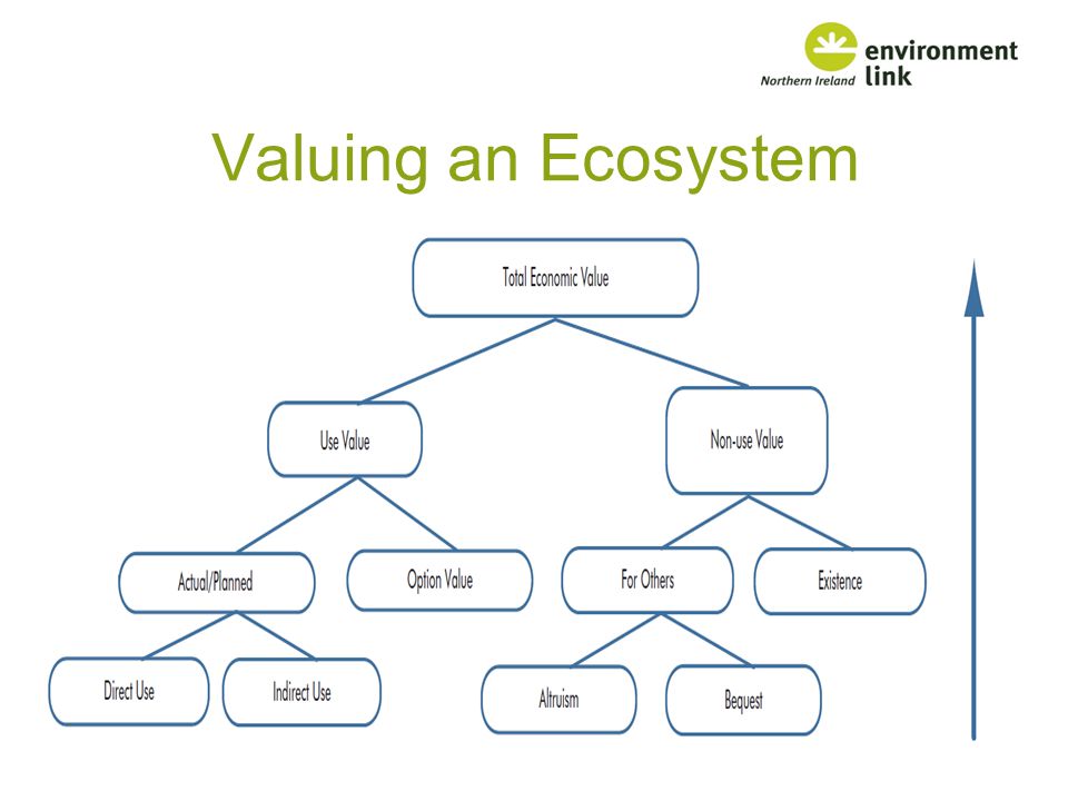 Valuing an Ecosystem