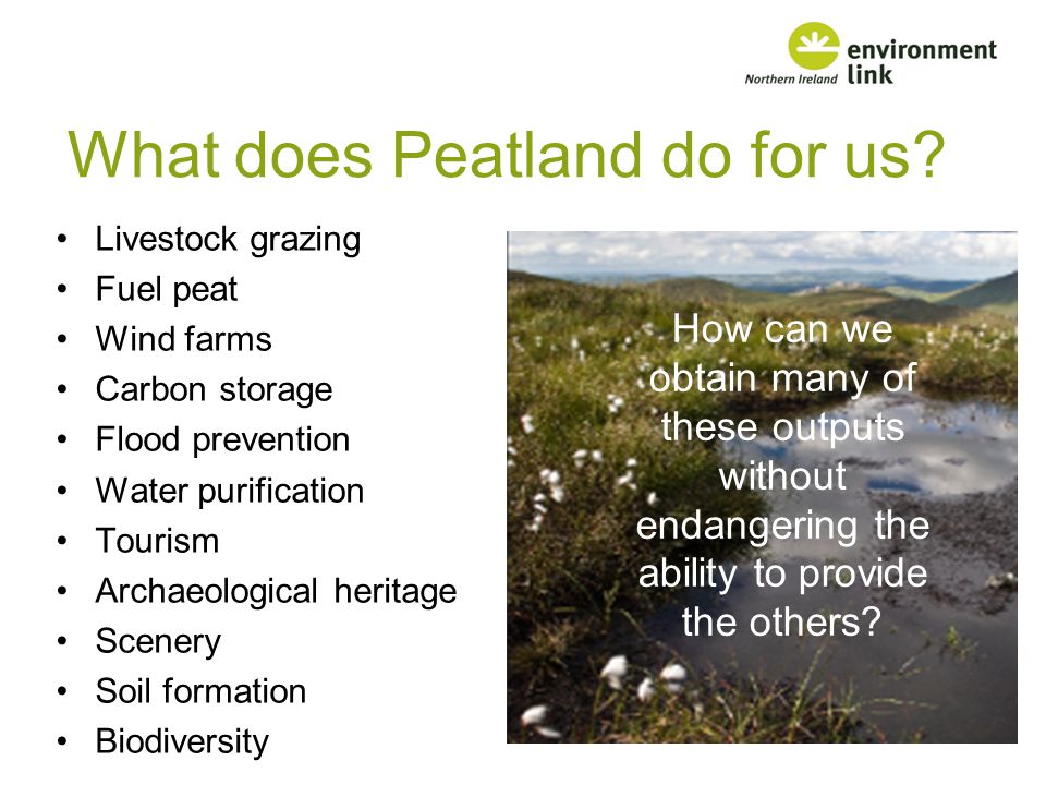 What does Peatland do for us