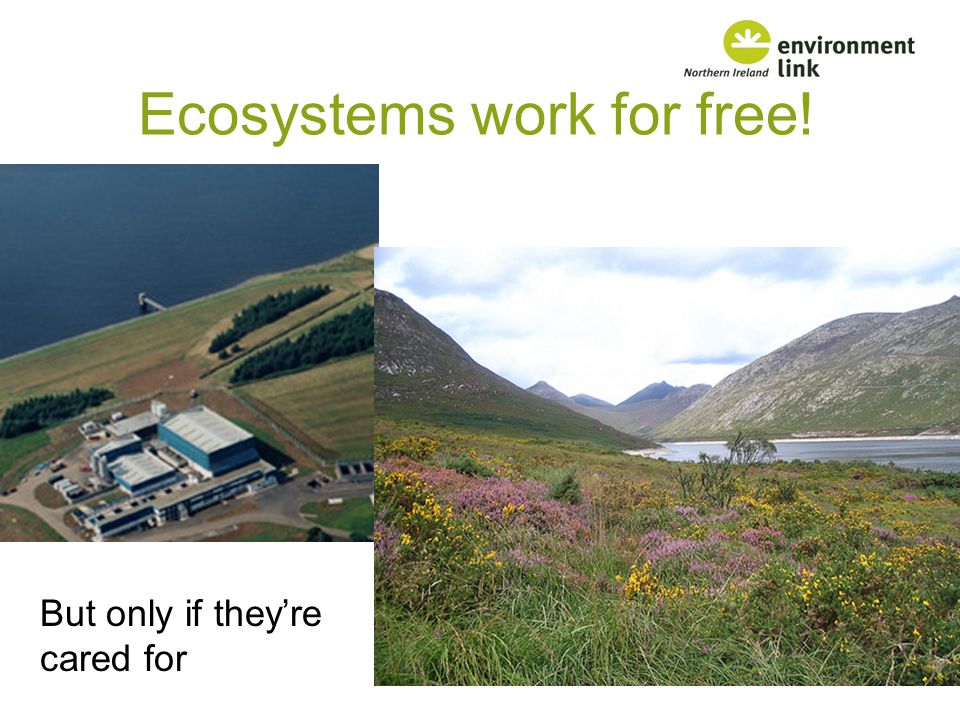 Ecosystems work for free!