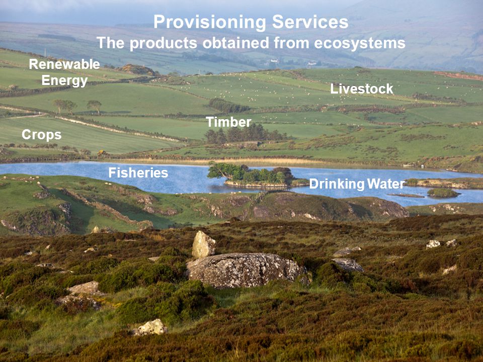 Provisioning Services The products obtained from ecosystems
