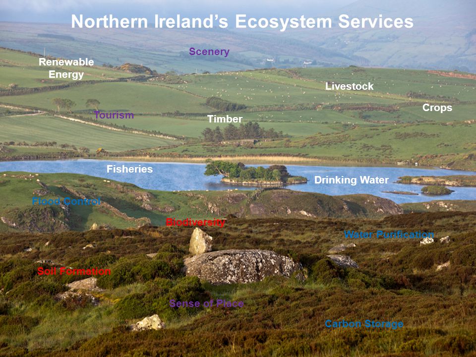 Northern Ireland’s Ecosystem Services