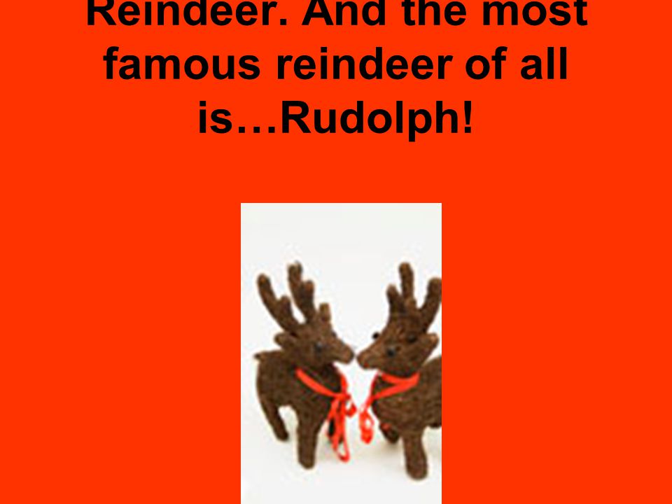 Reindeer. And the most famous reindeer of all is…Rudolph!