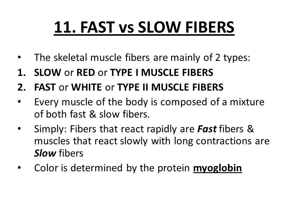 11. FAST vs SLOW FIBERS The skeletal muscle fibers are mainly of 2 types: SLOW or RED or TYPE I MUSCLE FIBERS.