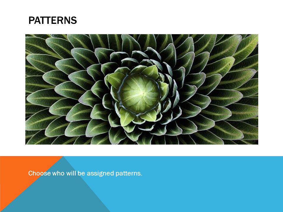 Patterns Choose who will be assigned patterns.