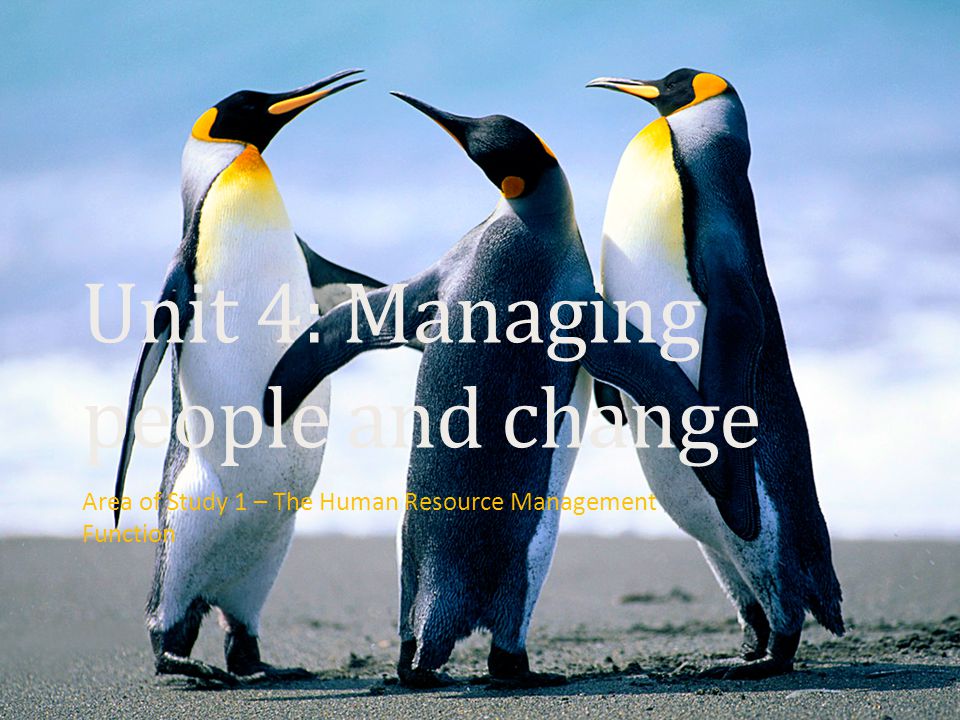 Unit 4: Managing people and change